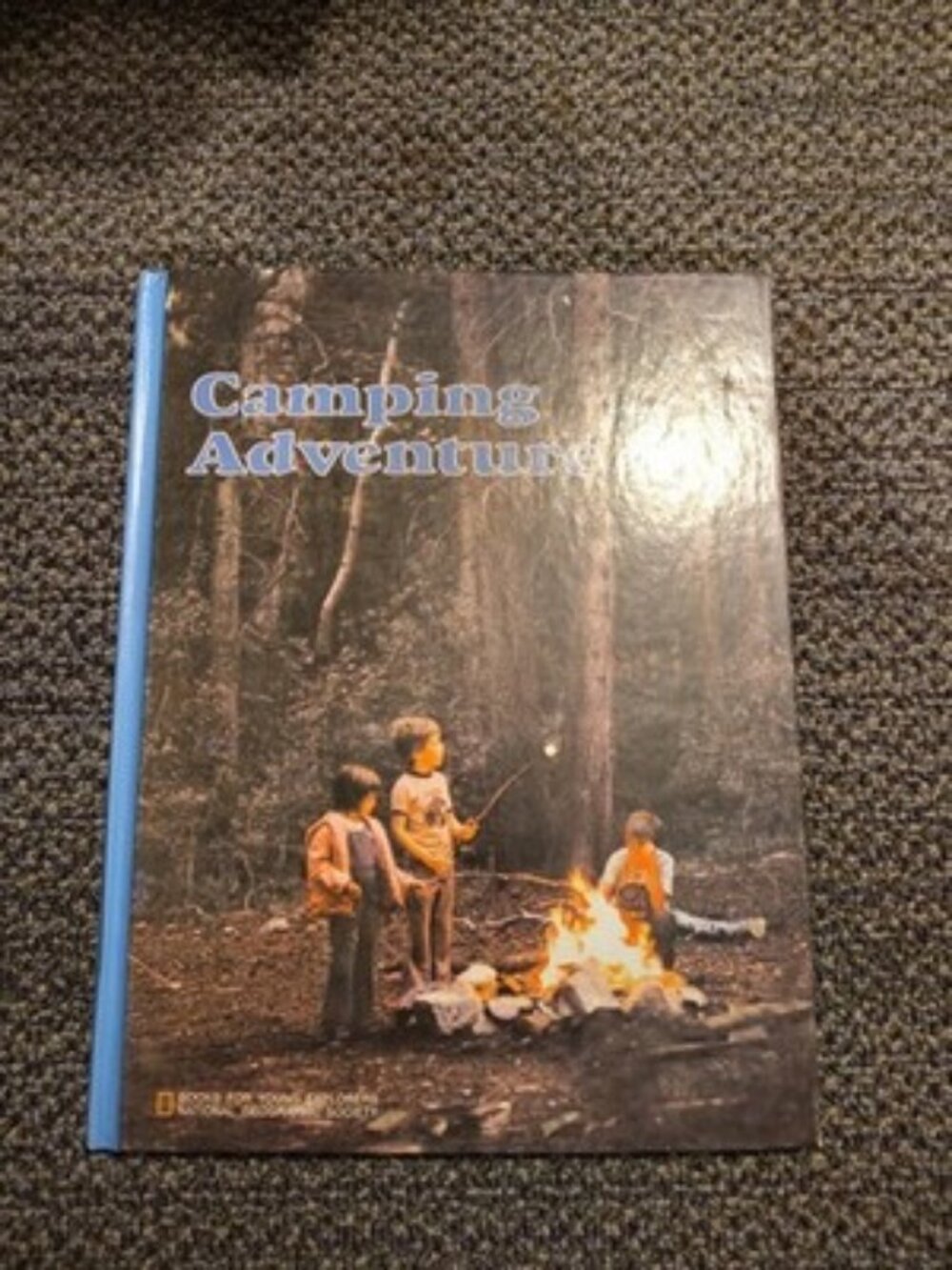 Camping adventure (Books for young explorers)